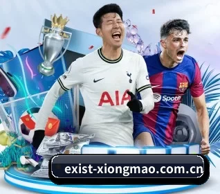 exist-xiongmao.com.cn的方向 - 长期内容价值积累